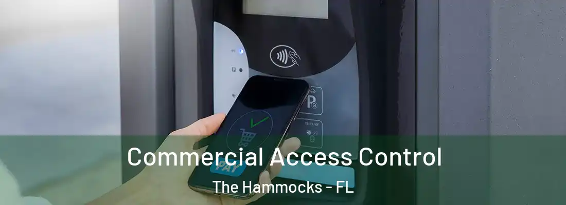Commercial Access Control The Hammocks - FL