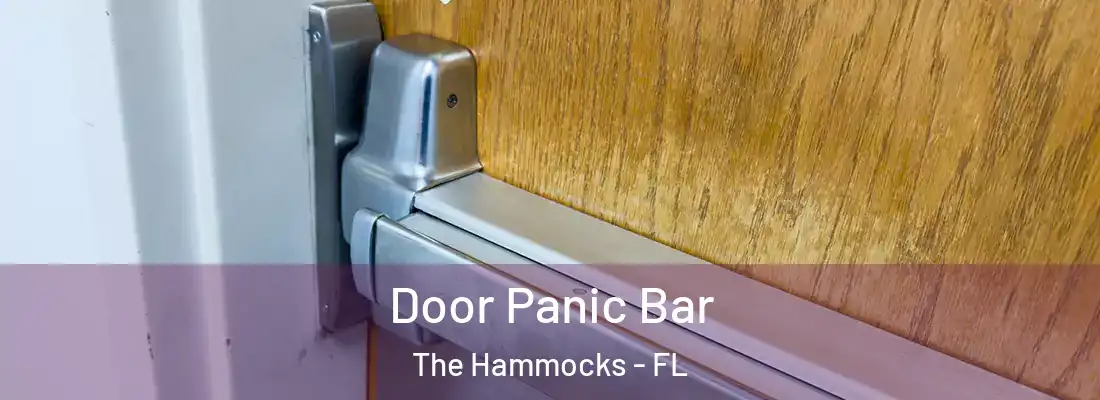 Door Panic Bar The Hammocks - FL