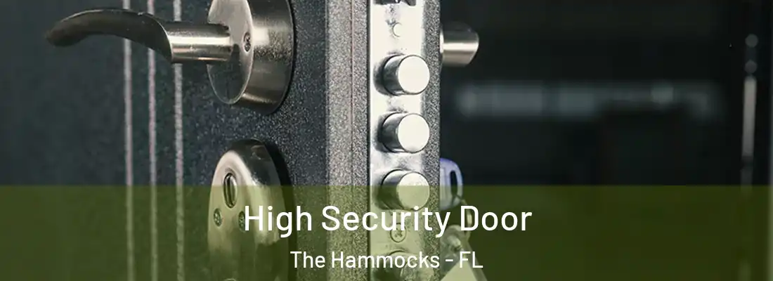 High Security Door The Hammocks - FL